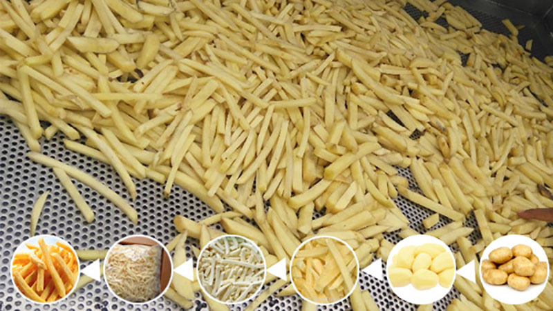 French Fries Plant