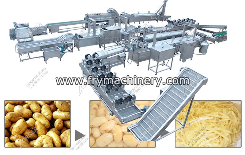 French Fries Making Plant